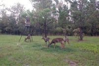 Land for sale in Madison County, Florida