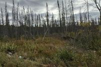 Undeveloped Land for sale in Forest County, Wisconsin