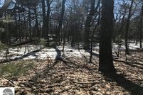 Undeveloped Land for sale in Arenac County, Michigan