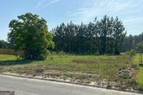 Undeveloped Land for sale in Camden County, Georgia