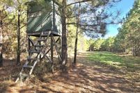 Land for sale in Dale County, Alabama