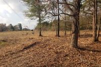 Undeveloped Land for sale in Panola County, Texas
