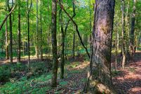 Farm and Ranch for sale in Lincoln County, Mississippi