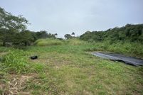 Timberland Property for sale in Hawaii County, Hawaii