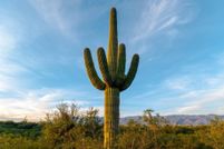 Land for sale in Pima County, Arizona