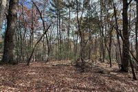 Land for sale in Gilmer County, Georgia