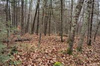 Timberland Property for sale in Oneida County, Wisconsin