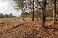 Timberland Property for sale in Panola County, Texas