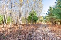 Land for sale in Wexford County, Michigan