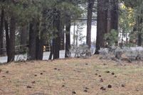 Farm and Ranch for sale in San Bernardino County, California