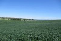 Land for sale in Walla Walla County, Washington