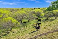 Farm and Ranch for sale in Eastland County, Texas