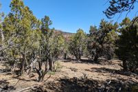 Undeveloped Land for sale in Duchesne County, Utah