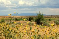 Farm and Ranch for sale in San Juan County, Utah