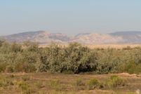 Land for sale in Uintah County, Utah