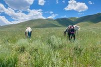 Land for sale in Tooele County, Utah