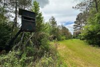 Land for sale in Attala County, Mississippi