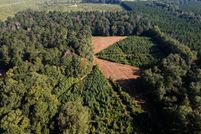 Land for sale in Amite County, Mississippi