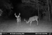 Land for sale in Claiborne County, Mississippi