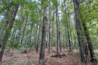 Land for sale in Hinds County, Mississippi