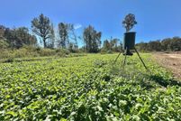 Land for sale in Copiah County, Mississippi