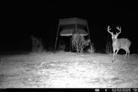 Land for sale in Catahoula Parish, Louisiana