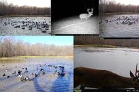 Undeveloped Land for sale in Jefferson County, Mississippi