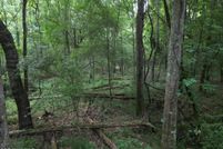 Land for sale in Franklin County, Mississippi