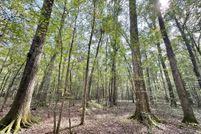 Farm and Ranch for sale in Simpson County, Mississippi