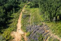 Timberland Property for sale in Amite County, Mississippi