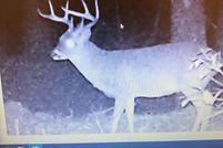 Farm and Ranch for sale in Wilkinson County, Mississippi