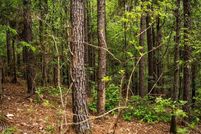 Waterfront Property for sale in Wilkinson County, Mississippi