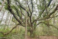 Land for sale in George County, Mississippi