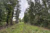 Land for sale in Livingston Parish, Louisiana