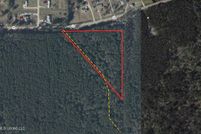 Land for sale in Livingston Parish, Louisiana