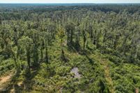 Undeveloped Land for sale in Walthall County, Mississippi