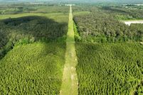 Undeveloped Land for sale in Amite County, Mississippi