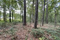 Land for sale in Newton County, Mississippi