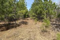 Undeveloped Land for sale in Newton County, Mississippi