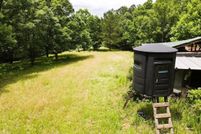 Land for sale in Webster County, Mississippi