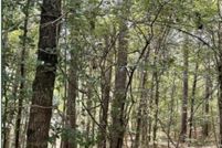 Land for sale in Carroll County, Mississippi