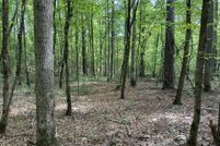 Land for sale in Carroll County, Mississippi