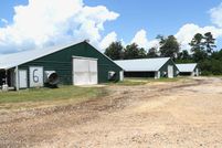 Timberland Property for sale in Jasper County, Mississippi