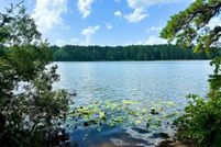 Timberland Property for sale in Pike County, Mississippi