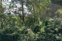 Land for sale in Jackson County, Mississippi