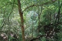 Land for sale in Adams County, Mississippi