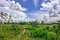 Land for sale in Amite County, Mississippi