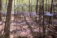 Land for sale in Rankin County, Mississippi