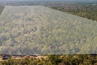 Land for sale in Stone County, Mississippi