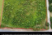 Land for sale in Walthall County, Mississippi